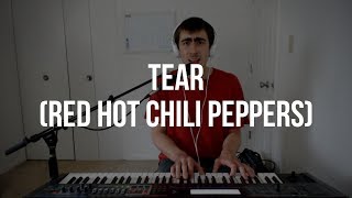 Download Lagu Piano Cover #93: Tear (Red Hot Chili Peppers) MP3