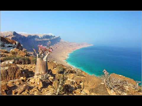 Amazing Socotra Island