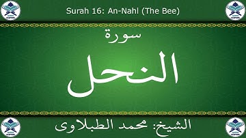 القرآن الكريم بصوت محمد الطبلاوي - سورة النحل