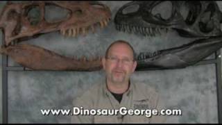 Ask DG #131   Acrocanthosaurus, Concavenator, Cryolophosaurus and T-rex
