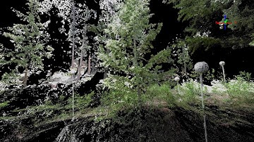 BANR Trees Scanned with Terrestrial LiDAR