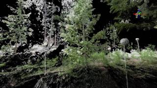 BANR Trees Scanned with Terrestrial LiDAR