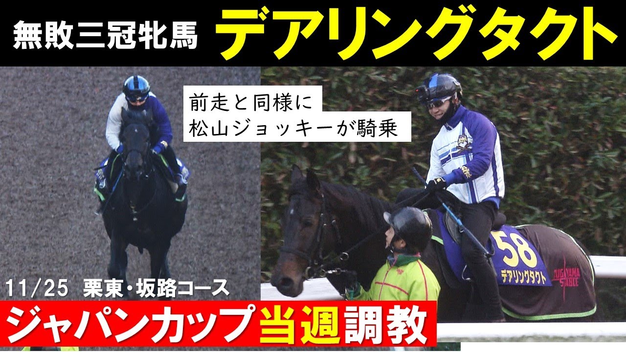 ジャパンカップ2020】デアリングタクト 松山弘平騎手を背に最終追い