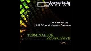 NIKO-RA and Maksim Palmaxs pres. Terminal For Progressive Vol.1