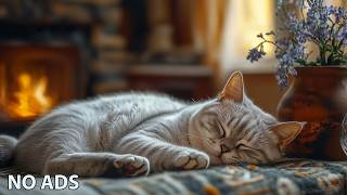Calming Music for Cats 🐾 Relaxation Cat Music - Soft Piano to Ease Cat Anxiety 🐱 Cat TV No Ads screenshot 3