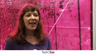80 Acres Farms Revolutionizes Industry, Brings Farming Indoors