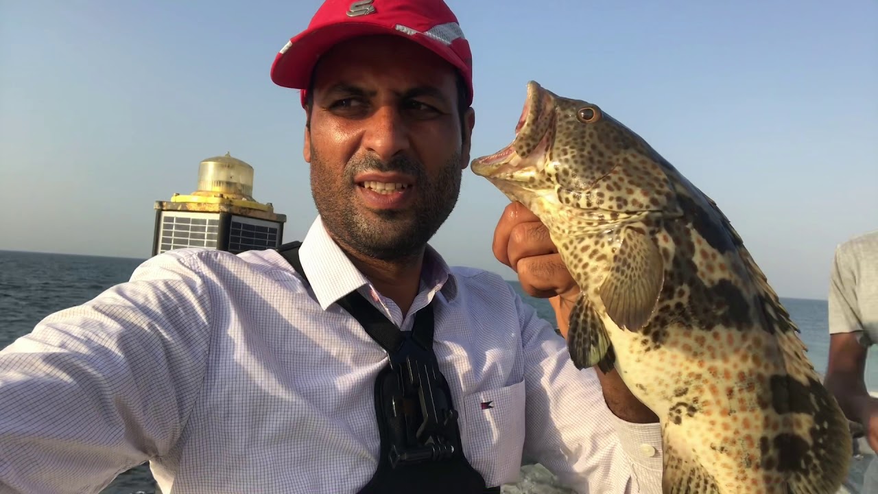 صيدالاسماك الهامور في بحر الشارقه fishing in sharjah YouTube