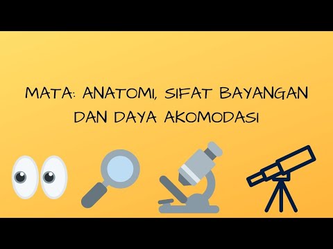 Video: Akomodasi Mata - Daftar Istilah Medis