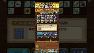 【ドラクエタクト】開花の扉45巻　ロト血で簡単3ターンクリア！