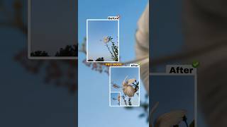 pro mode photography tips 💮🌺 ll #shorts #short #photography #viral