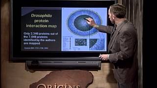 Scientific Evidence for Creation   CSE BIBLE FORUM Origins   1112 Mutation Malfunctions