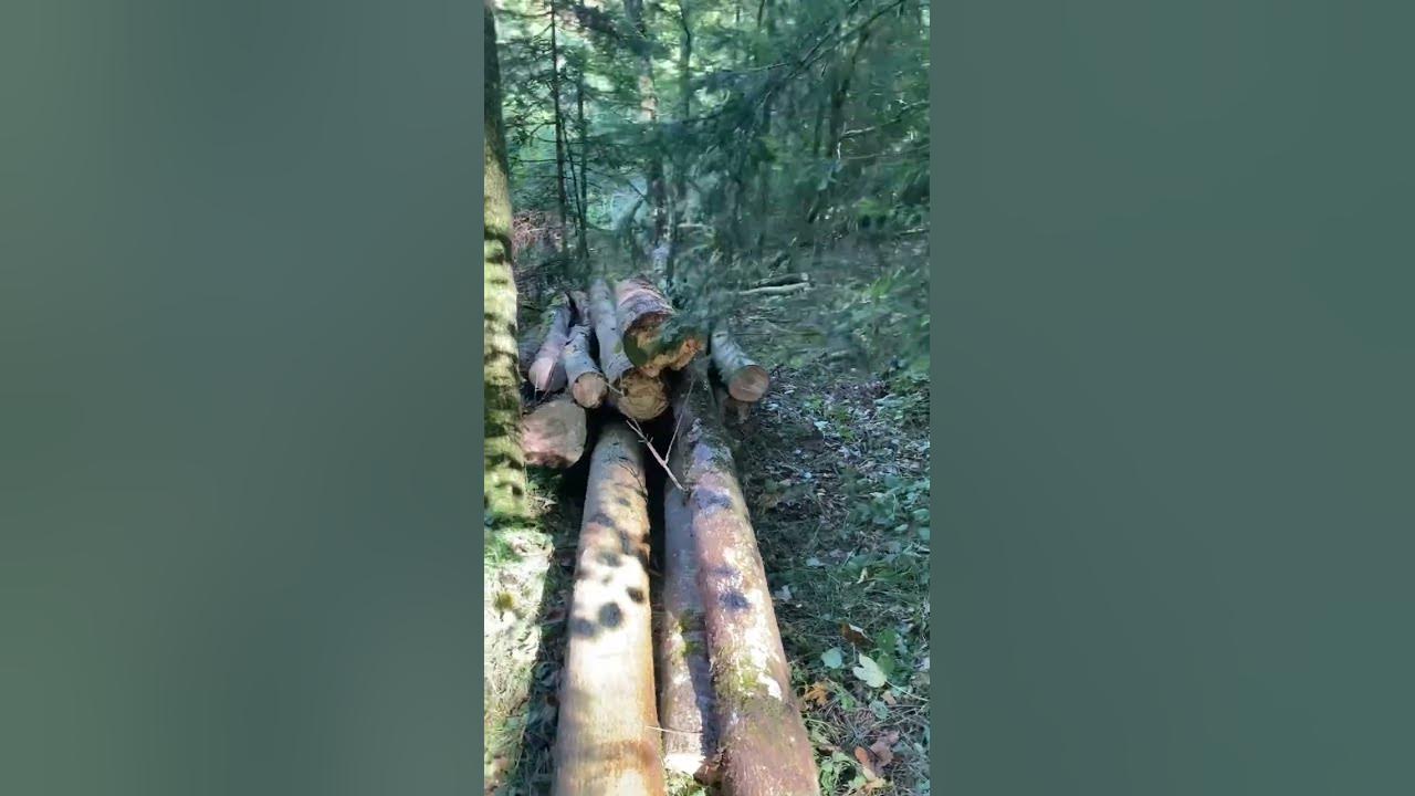 saisonbeginn-brennholz-23-24-youtube