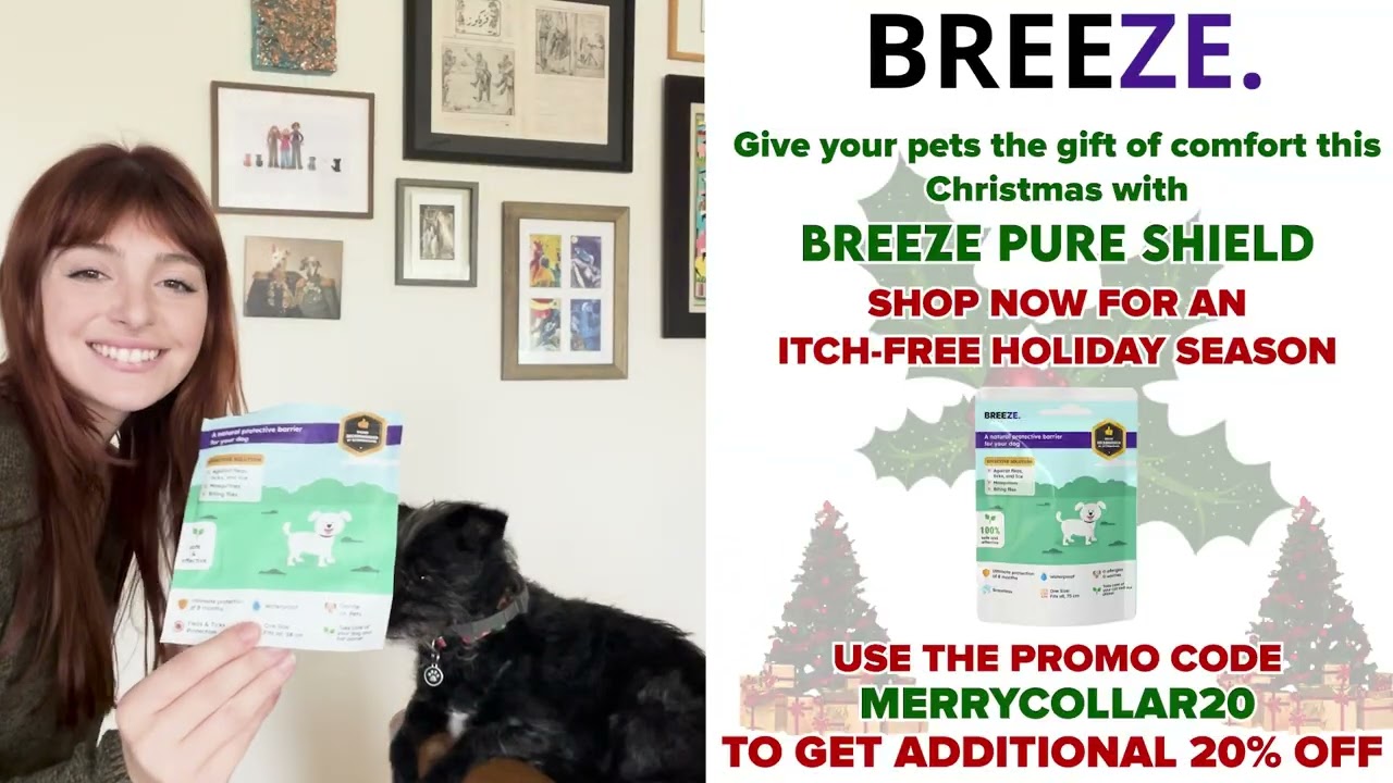 Give your pets the gift of comfort this Christmas with Breeze PureShield!