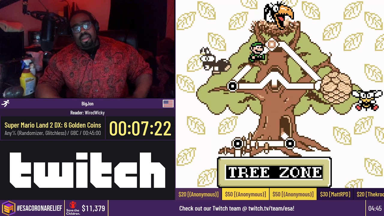 Super Mario Land 2 DX: 6 Golden Coins [Any% (Randomizer, Glitchless)] by BigJon - #ESACoronaRelief