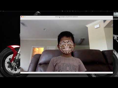 Delaunay Traingulation - Dlib 68 point detection - Face recognition