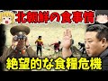 【睡眠用】北朝鮮の闇の食料事情【歴史】