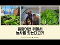 원양어선에서 농사짓기!!(feat.어부와 농부사이)