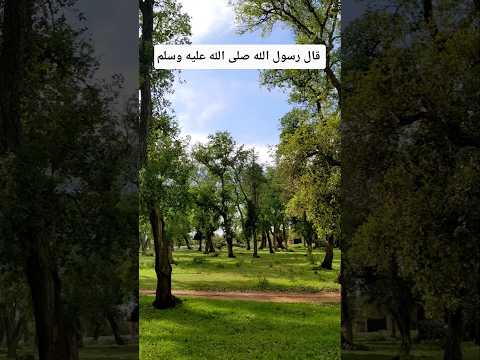 قال رسول الله صلى الله عليه وسلم