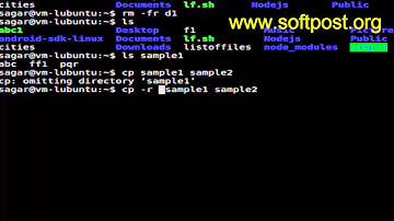 How to copy all files and subdirectories in Mac OS X Terminal