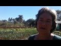 Huerta agroecológica, alimentación sana y saludable para las familias