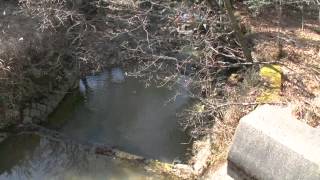 晩秋のえびの高原へ20131208（3）