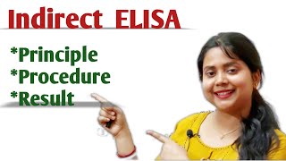 Indirect Elisa Test | Principle,Procedure & Result Interpretation | Types Of ELISA |