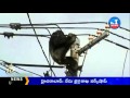 Chimp 'high' drama in Japan