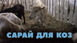 Мой новый сарай для коз! Мой новый сарай для коз!