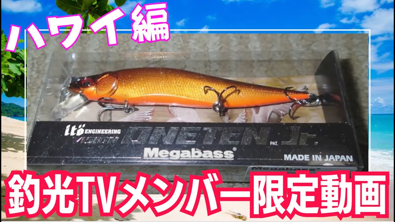 ハワイ旅行】オアフ島でバス釣り「ピーコックバスを狙え！」【レイク