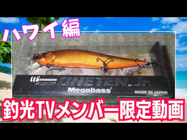 ハワイ旅行】オアフ島でバス釣り「ピーコックバスを狙え！」【レイク