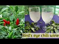 Bird S Eye Chili Wine Recipe Healthy Wine Recipe Without Using Yeast Coorg Style Wine Recipe 