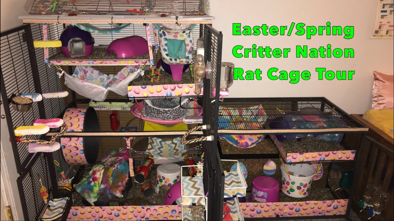 2022 Easter/Spring Triple Critter Nation Rat Cage Tour