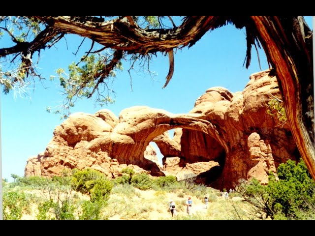 God’s Creation is Pure Joy!