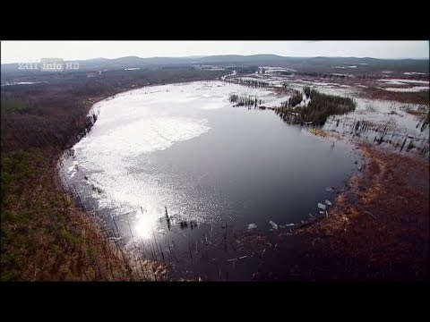 Video: 100 Jahre Tunguska-Meteorit: Rätsel, Die Niemand Erraten Kann. Teil 2 - Alternative Ansicht