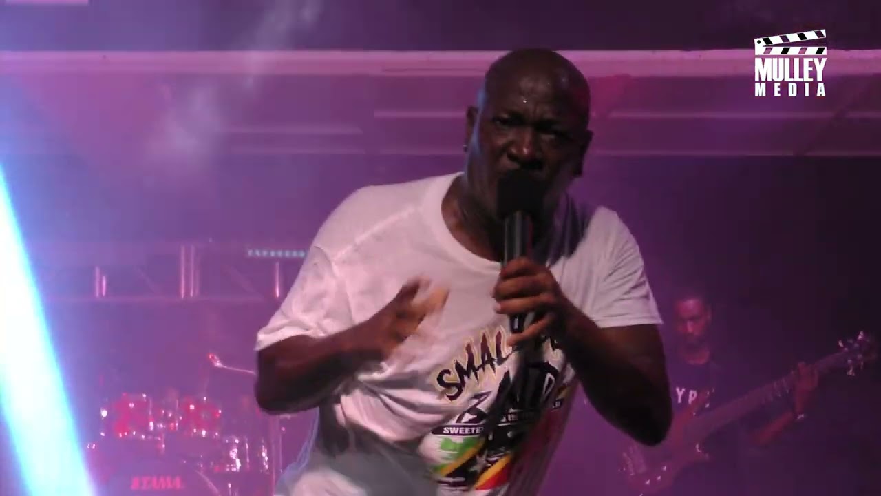 Small Axe Band Int. Live in Saba July 2022 Steady Jammin YouTube