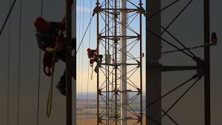 Celebrity Only 200 People Do This Job Net Worth