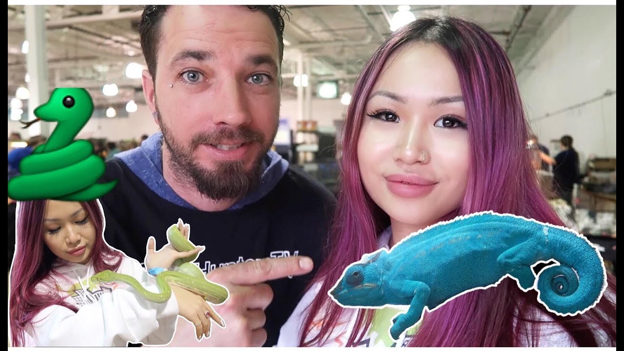 Michigan Taylor Reptile Expo (ft. SnakeHuntersTV) - YouTube