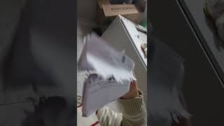 o espinossauro injustificado