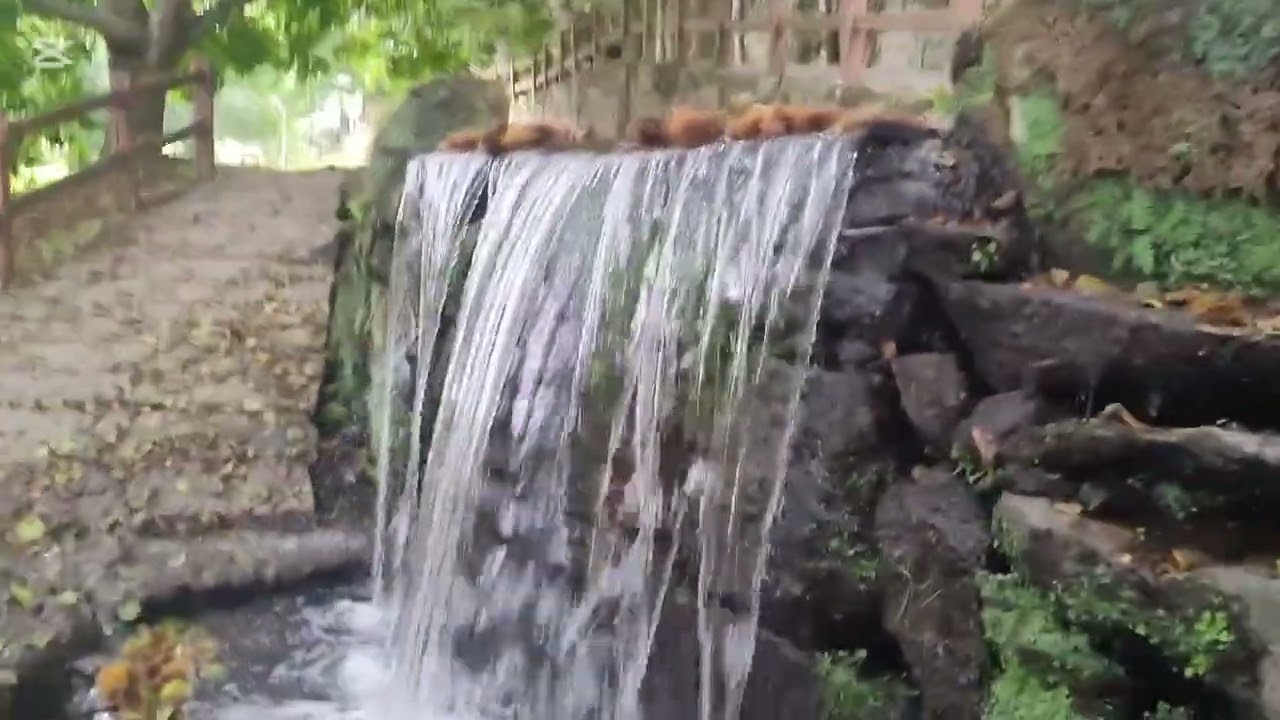 RUTA MOLINOS DE LORES GALICIA 😇🤠🥸