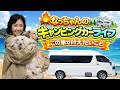 なっちゃんのキャンピングカーライフ!