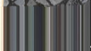 Datamoshing - 1st attempt [audacity]