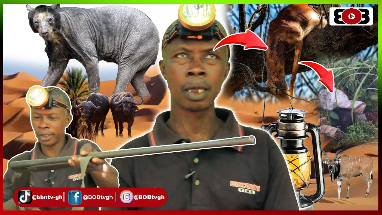 😳Sc@ry hunter temptation: The bewitched antelope I shot on top of tree turn 2 old woman before dýïng