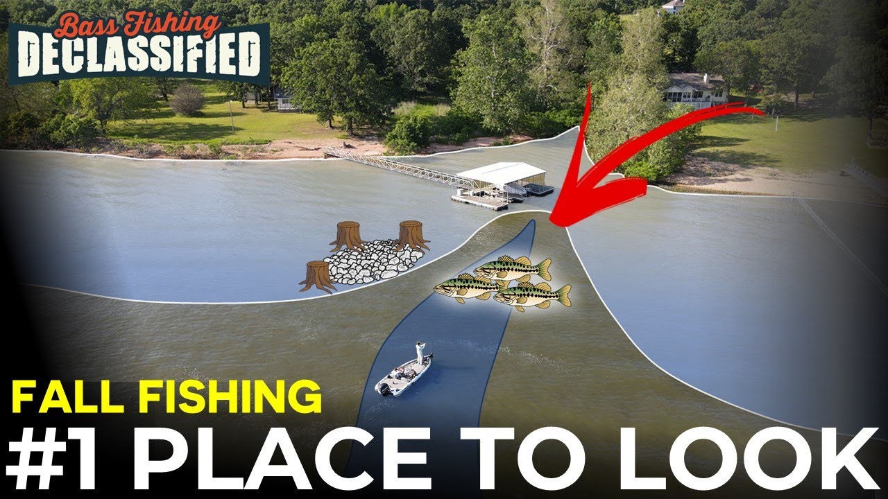 Finding Fall Bass is EASY… If You Start Here First