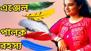 এঞ্জেলের পালক রহস্য || কোথায় কখন ANGEL সাহায্য করছে কিভাবে বুঝবে || DIVINE BLESSING FOR YOU power