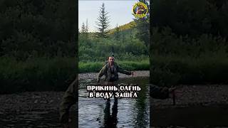 Затаив дыхание: Мои таёжные приключения