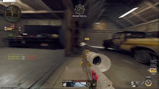 Collateral Damage