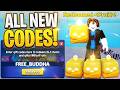*20 NEW CODES* ALL NEW WORKING CODES FOR BLOX FRUITS IN MAY 2026! ROBLOX BLOX FRUITS CODES