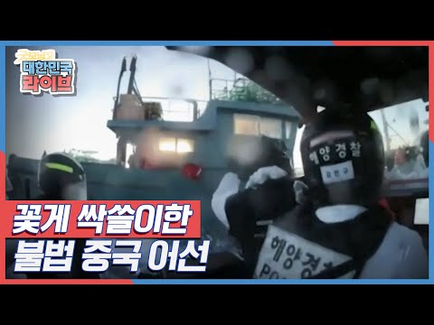 꽃게 싹쓸이한 불법 중국 어선 KBS 211130 방송