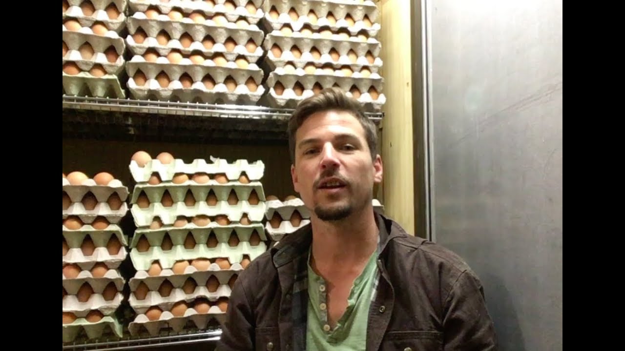 S5 ● E13 Handling 8000 pastured eggs a week...