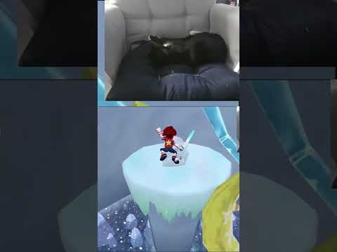 white women wrangling their pitbulls | #apeescape #demolition_d on #Twitch